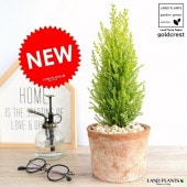 <br><br>������ɥ��쥹�� �㿧 �⥹�ݥå� �������� ƫ��ȭ <br>���쥹�� ȭ���� ȭ ���� �� ƫ�� �ƥ饳�å� <br>�ݷ� �� �֥�å� �� ����� �֥饦�� �� ���� <br>���տ�ʪ �Х륳�˥���