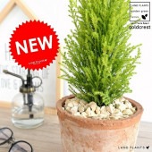 <br><br>������ɥ��쥹�� �⥹�ݥå� �������� ���㿧�� ƫ��ȭ <br>���쥹�� ȭ���� ȭ ���� �� ƫ�� �ƥ饳�å� <br>�ݷ� �� �֥�å� �� ����� �֥饦�� �� ���� <br>���տ�ʪ �Х륳�˥���