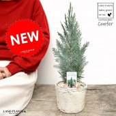 <br>�����ʥꥹ���饦���ʥ��˥ե����� �� �⥹�ݥå� ���������� ƫ��ȭ��ŷ�����С� <br>�����ʥꥹ �ҥΥ� ���ꥹ�ޥ��ĥ꡼ ����ܥ�ĥ꡼ <br>���ռ� ȭ���� ȭ �Ǿ� �ƥ饳�å� <br>�� �ۥ磻�� �� �ݷ� <br>���տ�ʪ ��ʪ ����̵��