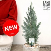 <br>���˥ե����ʥ����ʥꥹ���饦���� �� �⥹�ݥå� ���������� ƫ��ȭ��ŷ�����С� <br>�����ʥꥹ �ҥΥ� ���ꥹ�ޥ��ĥ꡼ ����ܥ�ĥ꡼ <br>���ռ� ȭ���� ȭ �Ǿ� �ƥ饳�å� <br>�� �ۥ磻�� �� �ݷ� <br>���տ�ʪ ��ʪ ����̵��