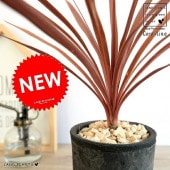 <br><br>����ǥ���͡ʥ�åɥ������� ���� �⥹�ݥå� �������� ƫ��ȭ <br>ȭ���� ȭ ���� �� ƫ�� �ƥ饳�å� <br>�ݷ� �� �֥�å� �� ���졼 ���� �� ���� <br>���տ�ʪ �Х륳�˥���