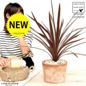 <br><br>����ǥ���͡ʥ�åɥ������� �㿧 �⥹�ݥå� �������� ƫ��ȭ ��ŷ�����С��������<br>ȭ���� ȭ ���� �� ƫ�� �ƥ饳�å� <br>�ݷ� �� �֥饦�� ����� �㿧 �� �� ���� <br>���տ�ʪ �Х륳�˥���