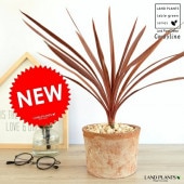 <br><br>����ǥ���͡ʥ�åɥ������� �㿧 �⥹�ݥå� �������� ƫ��ȭ <br>ȭ���� ȭ ���� �� ƫ�� �ƥ饳�å� <br>�ݷ� �� �֥饦�� ����� �㿧 �� �� ���� <br>���տ�ʪ �Х륳�˥���