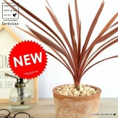 <br><br>����ǥ���͡ʥ�åɥ������� �㿧 �⥹�ݥå� �������� ƫ��ȭ <br>ȭ���� ȭ ���� �� ƫ�� �ƥ饳�å� <br>�ݷ� �� �֥饦�� ����� �㿧 �� �� ���� <br>���տ�ʪ �Х륳�˥���