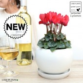 <br><br>�����ǥ󥷥�������ֲ֡� �� ��� ƫ��ȭ ��ŷ�����С������� <br>�������� ������ӥХʡ����в֡� �֥��Υޥ󥸥奦���ڤ��Ƭ�� <br>�� ���� ���� ȭ�� ȭ���� ���� <br>�� ��å� �� �ۥ磻�� �� �饦��� ���տ�ʪ ����̵��