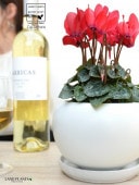 <br><br>�����ǥ󥷥�������ֲ֡� �� ��� ƫ��ȭ ��ŷ�����С������� <br>�������� ������ӥХʡ����в֡� �֥��Υޥ󥸥奦���ڤ��Ƭ�� <br>�� ���� ���� ȭ�� ȭ���� ���� <br>�ֲ� �� ��å� �� �ۥ磻�� �� �饦��� ���տ�ʪ ����̵��