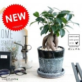 <br><br>������ޥ�ʴ��������ס� ���졼���ù� ����ƫ��ȭ �ʹ������򿧡� <br>��ŷ�����С�������������� ��ʡ��⤿�餹 ¿���μ� ���� ������ޤ���� <br>ȭ���� ȭ �֥�å� �ۥ磻�� ���� ���� �� ���տ�ʪ ���� �� ����ʪ