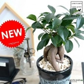 <br><br>������ޥ� �ʴ����� ���졼���ù� ����ƫ��ȭ ��BLACK�� <br>��ŷ�����С�������������� ��ʡ��⤿�餹 ¿���μ� ���� ������ޤ���� <br>ȭ���� ȭ �� �� �֥�å� �ۥ磻�� ���� ���� �� ���տ�ʪ ���� �� ����ʪ