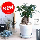 <br><br>������ޥ�ʴ��������ס� ���졼���ù� ����ƫ��ȭ���򿧡� <br>��ŷ�����С�������������� ��ʡ��⤿�餹 ¿���μ� ���� ������ޤ���� <br>ȭ���� ȭ �ۥ磻�� ���� ���� �� ���տ�ʪ ���� �� ����ʪ