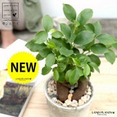 <br><br>������ޥ� �ʴ����� �� �⥹�ݥå� ���������� �ƥ饳�å�ȭ <br>��ʡ��⤿�餹 ¿���μ� ���� ������ޤ���� �ͻ� <br>�Ǿ� ȭ���� ȭ �� ���� �ۥ磻�� ��  ���տ�ʪ