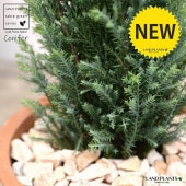 <br>���˥ե����ʥ���ѥ����� �⥹�ݥå� ���������� ƫ��ȭ �㿧��ŷ�����С� <br>���륦�å�����ѥ��䡼 �ҥΥ� ���ꥹ�ޥ��ĥ꡼ ����ܥ�ĥ꡼ <br>���ռ� ȭ���� ȭ �Ǿ� �ƥ饳�å� <br>�� �֥饦�� �� �ݷ� <br>���տ�ʪ ��ʪ ����̵��