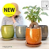 <br><br>��4���� ������ޥ�ʴ����� ����夭�Τ��� �饦��ɷ� ƫ��ȭ ��ȭ�����٤��<br>�ʲ������С�������������˹�ʡ��⤿�餹 ¿���μ� ���� ������ޤ���� <br>ȭ���� ȭ �� ���� �� ���տ�ʪ