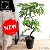 <br><br>���С��ե�å��� �ʤ���� 3D�����֡� ���� ���饢����ȭ 8�� <br>ȭ���� ȭ �� ���� �緿 ���տ�ʪ ����̵�� <br>�� �֥�å� �� �饦��� �ץ�ȭ ��������ͥ�Υ�