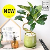 <br><br>�ե�󥹥�������նʤ���� ���꡼�� ����夭�Τ��� ƫ��ȭ��ŷ�����С�������������� <br>�ե�������ӥ��Ρ��� ��ӥ��Ρ��� ��ӥ��Ρ��� ���� ������� �ե����� <br>ȭ���� ȭ �� ���� ���տ�ʪ ���� <br>�� �п� ���� �饦��� ƫ�� ����̵��