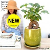 <br><br>������ޥ�ʴ��������ס� ���꡼�� ����夭���� �饦��ɷ� ƫ��ȭ <br>�ڲ������С�������������۹�ʡ��⤿�餹 ¿���μ� ���� ������ޤ���� <br>�� ���� ȭ���� ȭ �� ���� �� ���� �� ���տ�ʪ