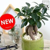 <br><br>������ޥ�ʴ��������ס� ����夭���� �饦��ɷ� �ʥ��꡼��� ƫ��ȭ <br>�ʲ������С�������������˹�ʡ��⤿�餹 ¿���μ� ���� ������ޤ���� <br>ȭ���� ȭ �� ���� �� ���� �� ���տ�ʪ