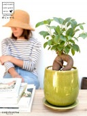 <br><br>�ʴ����˥�����ޥ� ���꡼�� ����夭���� �饦��ɷ� ƫ��ȭ <br>�ڲ������С�������������۹�ʡ��⤿�餹 ¿���μ� ���� ������ޤ���� <br>�� ���� ȭ���� ȭ �� ���� �� ���� �� ���տ�ʪ