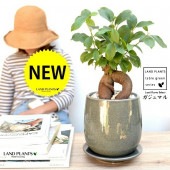 <br><br>������ޥ�ʴ��������ס� �֥롼 ����夭�Τ��� �饦��ɷ� ƫ��ȭ <br>�ڲ������С��������������ȭ���� ȭ ƫ�� �� ���� <br>��ʡ��⤿�餹 ¿���μ� ���� ������ޤ���� <br>�� �Ŀ� �忧 ���졼 ���� �� �饦��� ���տ�ʪ