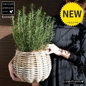 <br><br>�������ޥ꡼ �ݤäƤ�İ����ʼ꿥��Х����åȡ� �Х롼�� ȭ���С� <br>Ω�� ȭ���� �� ���� �������ޥ� �ϡ��� �ϡ��� <br>���� ���� �Х����å� �饿�� �� ϶ �� �֥饦�� �١����� �����䥷�ե����С�