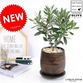 <br><br>���꡼�� ���å��� �ڥ����ƫ��ȭ �饦��� �ӥ�������ŷ�����С��������������  <br>ƫ�� ����ȭ �ݷ� �� �֥饦�� �� �㿧 <br>���꡼�֤��� ���տ�ʪ �� ����