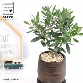 <br><br>���꡼�� ���åɥڥ���� ƫ��ȭ �饦��� �ӥ�������ŷ�����С��������������  <br>ƫ�� ����ȭ �ݷ� �� �֥饦�� �� �㿧 <br>���꡼�֤��� ���տ�ʪ �� ����