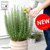 <br><br>�������ޥ꡼ ȭ���� �ʥܡ��������� ����ƥ����� �֥饦�� �ƥ饳�å� <br>8�� Ω�� �������ޥ� �ϡ��� �ϡ��� <br>�Ǿ� ƫ��ȭ ȭ �㿧 �� ������ �١����� <br>�� ���� �緿 �ᥳ�� ���տ�ʪ