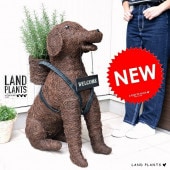 <br><br>�������ޥ꡼ 5�� �� �֤餦�󷯤� �����륫�� �Х����å� ���� ������� <br>�� ���� ���� ���˥ޥ� ưʪ �� ϶ ���� ���� �Х����å� <br>�� ������ �Ǥ��� ��� �����ǥ˥� ���� ���տ�ʪ ���� <br>��֥�ɡ��� ��֥�ɡ����ȥ�С� ������ǥ��ȥ�С�