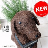 <br><br>�������ޥ꡼ 5�� �� �֥饦�󷯤� �����륫�� �Х����å� ���� ������� <br>�� ���� ���� ���˥ޥ� ưʪ �� ϶ ���� ���� �Х����å� <br>�� ������ �Ǥ��� ��� �����ǥ˥� ���� ���տ�ʪ ���� <br>��֥�ɡ��� ��֥�ɡ����ȥ�С� ������ǥ��ȥ�С�