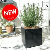 <br><br>�������ޥ꡼���淿�˹��� �ե����С� ���塼�� ƫ��ȭ <br>���� ��Ω�� �ȥͥꥳ FIBER CLAY�ʥե����С����쥤�� <br>ȭ �� �� �֥�å� ������ �ͳ� �������� �� ���� Ω�� ���տ�ʪ <br>Ω�� ȭ���� �� ���� �������ޥ� �ϡ��� �ϡ��� ����̵��