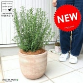 <br><br>�������ޥ꡼ ���������� �ǥ�������ɤ� �ƥ饳�å�ȭ ȭ���� <br>Ω�� �� ���� �������ޥ� �Ǿ� ƫ�� <br>�֥饦�� �� �㿧 �١����� ����