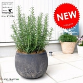 <br><br>�������ޥ꡼ �ݤäƤ�İ��� �ʹ����� �ƥ饳�å� �饦��ɷ� <br>Ω�� ȭ���� �� ���� �������ޥ� �ϡ��� �ϡ��� <br>�Ǿ� ƫ�� �� ���� �֥�å� �����䥷�ե����С�