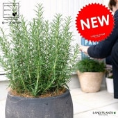 <br><br>�������ޥ꡼ �ݤäƤ�İ��� �ƥ饳�å� �饦��ɷ� �ʹ�����<br>Ω�� ȭ���� �� ���� �������ޥ� �ϡ��� �ϡ��� <br>�Ǿ� ƫ�� �� ���� �֥�å� �����䥷�ե����С�