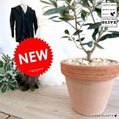 <br><br>���꡼�֤��� �����ꥢ�� �ƥ饳�å� �ʥ���󥸡��Ǿ�ȭ <br>����ȭ ���꡼�֤��� �� ���� ȭ ����  <br>���տ�ʪ ����̵�� ���� ���� �뺧��