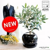 <br><br>���꡼�� ���� �ݷ� ƫ��ȭ <br>����ȭ ���꡼�֤��� �� ���� ȭ ����  <br>���տ�ʪ ���� ���� �뺧�� <br>�� �֥�å� �� �饦���