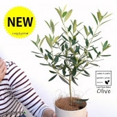 <br><br>�ڤ���� ���꡼�� 4�� ���ʼ���ޤ������� �ץ饹���å�ȭ�ڥ����ե����С��� <br>���꡼���� ���� �� ȭ���� ȭ ���տ�ʪ ��ʪ ���� <br>�뺧����ξ�ƤؤΥץ쥼��� �뺧���ε�ǰ�� ξ��£�襮�ե� ξ��£���� �����륫��ĥ꡼  <br>�� �ۥ磻�� ��