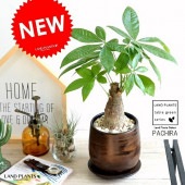 <br><br>�ѥ���ʴ��������ס� ���å��� �ڥ����ƫ��ȭ �ӥ����� <br>�����ѥ��� �������ƥ��� ȯ��� ������� ��������߽Ф��� <br>ȭ���� ȭ �� ���� ���տ�ʪ �� �֥�å� �� �饦��� <br>ƫ�� ƫ��ȭ ����̵��