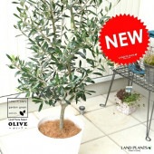 <br><br>���꡼�� �� ���饢����ȭ 8�極���� ȭ���� <br>���꡼�֤��� �� ���� ȭ �� �ۥ磻�� �ץ饹���å� <br>�緿 �� �����䥷�ե����С� ���տ�ʪ