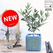 <br><br>���꡼�� �����˥å����� (�ġ߲�) ���塼��ƫ�� <br>����٥�����ƫ��ȭ������ȭ���ͳѡ������������⥶��������<br>�֥롼 �������� ���꡼�֤��ڡ����տ�ʪ���ġ�����