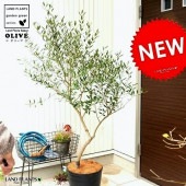 <br><br>���꡼�� 10�� �ʼ��������� ���� ���顼������ȭ�ڥ����ե����С���������� <br>�緿 �� ��ȭ ȭ���� �� ���� ���꡼���� ���꡼�֤��� ���꡼�֤μ� <br>���տ�ʪ ����  �䥷���� <br>��ݴ�ʤ�����˥֥�å� �� �ץ�ȭ