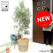 <br><br>���꡼�� 10�� ���㿧�� �Хʥʥ꡼�� �Х����åȥ��åȡڥ����ե����С���������������� <br>�緿 �� ��ȭ ȭ���� ȭ���С� �� ���� ���꡼���� ���꡼�֤��� ���꡼�֤μ� <br>���տ�ʪ ���� �����䥷�ե����С� �䥷���� <br>��ݴ�ʤ�������� ������ �ץ�ȭ