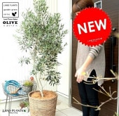 <br><br>���꡼�� 10�� ���㿧�� �Хʥʥ꡼�� �Х����åȥ��åȡڥ����ե����С���������������� <br>�緿 �� ��ȭ ȭ���� ȭ���С� �� ���� ���꡼���� ���꡼�֤��� ���꡼�֤μ� <br>���տ�ʪ ���� �����䥷�ե����С� �䥷���� <br>��ݴ�ʤ�������� ������ �ץ�ȭ