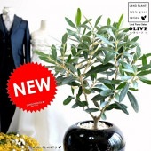 <br><br>���꡼�֤��� �ݷ� ƫ��ȭ �����ڲ������С�������������� <br>����ȭ ���꡼�� �� ���� ȭ ����  <br>���տ�ʪ ���� ���� �뺧�� <br>�� �֥�å� �� �饦���