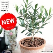 <br><br>���꡼�֤��� ���㿧�˥⥹�ݥå� ���������� �ƥ饳�å��ڥС������åס�������� <br>����ȭ ���꡼�� �� ���� ȭ ���� �Ǿ� <br>���տ�ʪ ���� ���� �뺧�� ����̵�� <br>�� �֥饦�� ����� �� �饦���