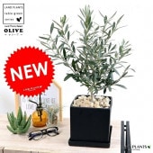 <br><br>���꡼�� �ʹ����� �淿 ���塼�� ƫ��ȭ �ͥ����� <br>����ȭ ���꡼�֤��� �� ���� ȭ ���� <br>���տ�ʪ ���� ���� �뺧�� <br>�� �֥�å� �������� �ͳ� ������