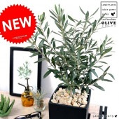 <br><br>���꡼�֤��� �淿 ���塼�ַ� ƫ��ȭ �ʹ����ˣͥ����� <br>����ȭ ���꡼�� �� ���� ȭ ���� <br>���տ�ʪ ���� ���� �뺧�� <br>�� �֥�å� �������� �ͳ� ������