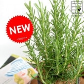 <br><br>�������ޥ꡼ ���� �⥹�ݥå� ���������� �ƥ饳�å�ȭ�ڥ����ե����С���������� <br>MOSSPOT �Ǿ� ƫ��ȭ ȭ���� ƫ�� �� �֥�å� ���졼 ���� �� <br>�� ���� �� Ω�� �ϡ��� �ޥ�ͥ���� ��ų�� ���Τ����� <br>���տ�ʪ ����