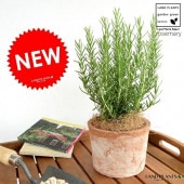 <br><br>�������ޥ꡼ �㿧 �⥹�ݥå� ���������� �ƥ饳�å�ȭ �ڥ����ե����С���������� <br> MOSSPOT �Ǿ� ƫ��ȭ ȭ���� ƫ�� �� �֥饦�� ����� �� <br>�� ���� �� Ω�� �ϡ��� �ޥ�ͥ���� ��ų�� ���Τ����� <br>���տ�ʪ ����