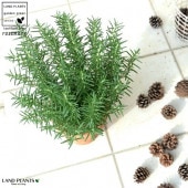 <br><br>�������ޥ꡼ ���㿧�˥⥹�ݥå� �ȡ��� �饦��ɷ� <br>�ƥ饳�å� �Ǿ� ƫ�� �֥饦�� ����� �� <br>Ω�� ȭ���� �� ���� �������ޥ� �ϡ��� �ϡ��� <br>���տ�ʪ ���� ���� ���� ����̵��