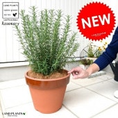 <br><br>�������ޥ꡼ �Τʤ���� ƫ��ȭ �ʾ��� �̲�ȭ�� ���� <br>Ω�� ȭ���� �� ���� �������ޥ� �ϡ��� �ϡ��� �ȥ��ʥ� ��� <br>ƫ�� �֥饦�� ����� �� �����䥷�ե����С�