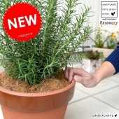 <br><br>�������ޥ꡼ �Τʤ���� ƫ��ȭ �ʾ��� �̲�ȭ�� ���� <br>Ω�� ȭ���� �� ���� �������ޥ� �ϡ��� �ϡ��� �ȥ��ʥ� ��� <br>ƫ�� �֥饦�� ����� �� �����䥷�ե����С�